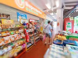 Hougang Avenue 1 (D19), Shop House #593785561